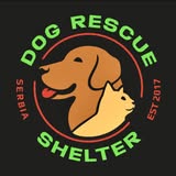 Dog Rescue Shelter, Serbia